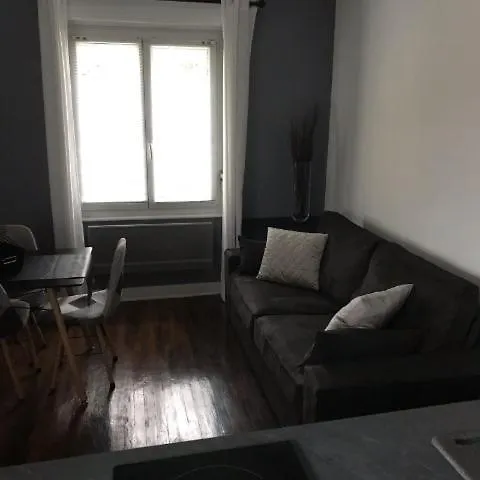 Ideal, Moderne, Confortable Et Cosy Gérardmer